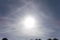 DSCF2489