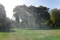 DSCF2494