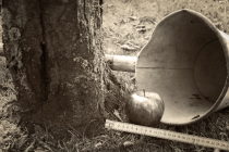 De Appel fölt nich wied van’n Stamm. (Der Apfel fällt nicht weit vom Stamm.)