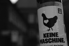 Meike Behrendt - Der dunkle Fleck | The dark spot (2019)