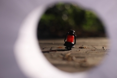 Michaela Kanthak - Licht am Ende des Tunnels | Light at the end of the tunnel (2018)