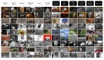 Fotomarathon_5